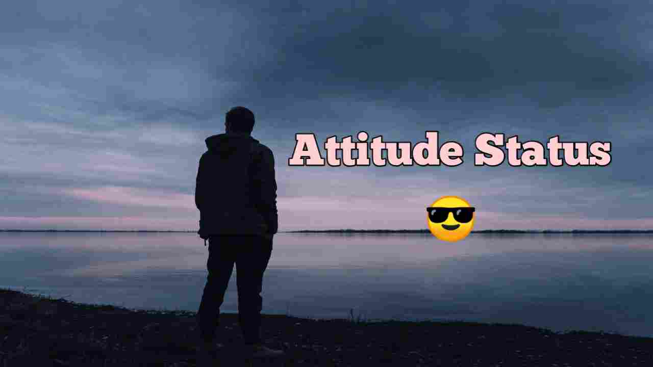 Attitude Status