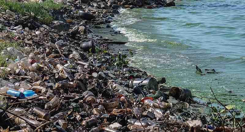 water pollution in hindi