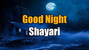 Read more about the article Good Nigth Shayari