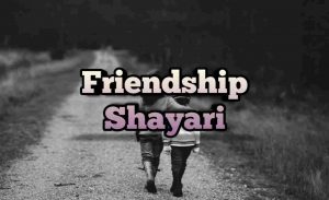 Read more about the article Friendship Shayari