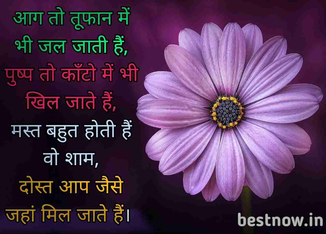 Dosti Shayari