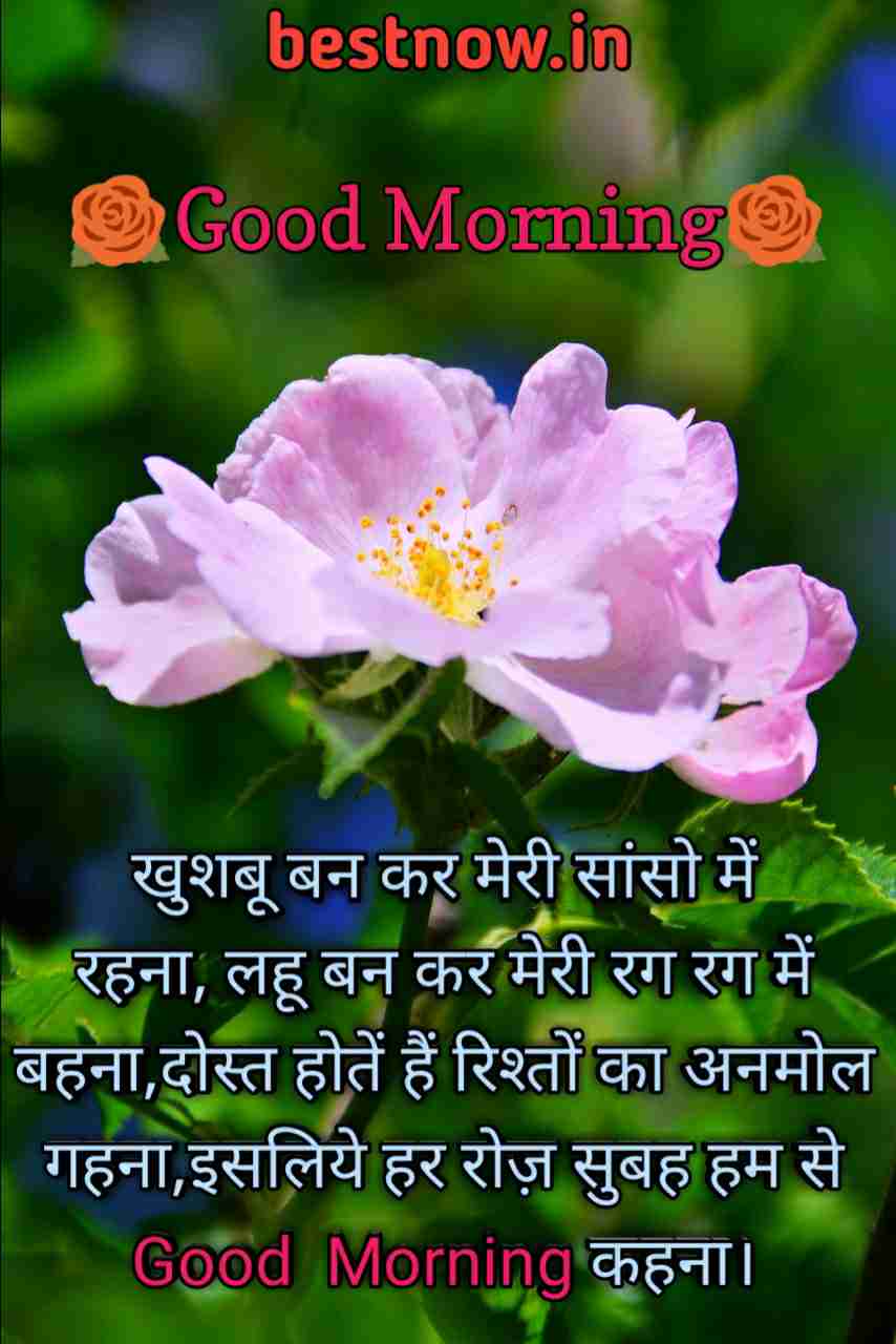 good morning in hindi shayari