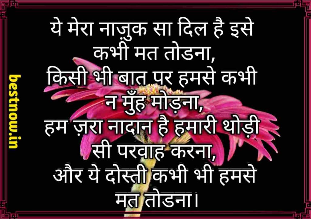 I Am Your Friend Meaning In Hindi Best Top Friendship Shayari In Hindi (2022)