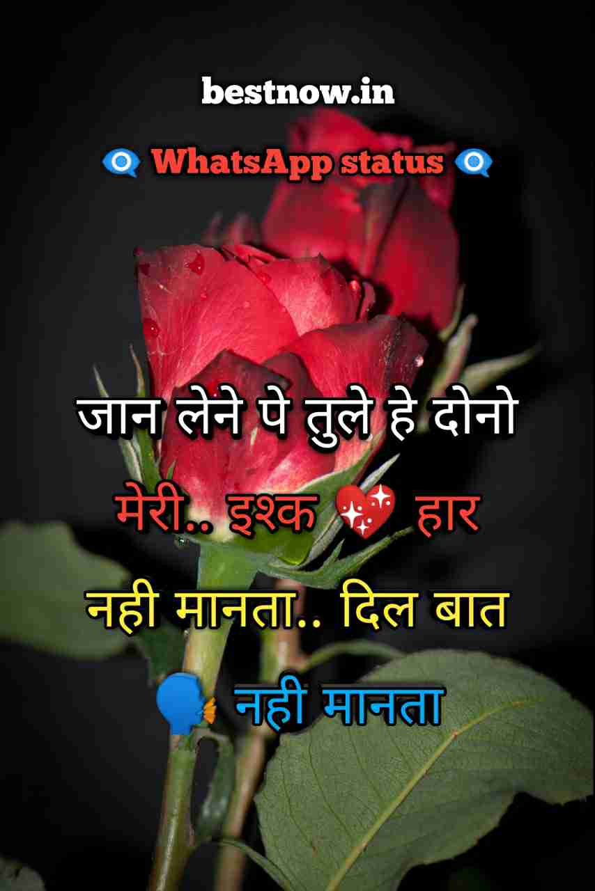 Whatsapp Status In Hindi