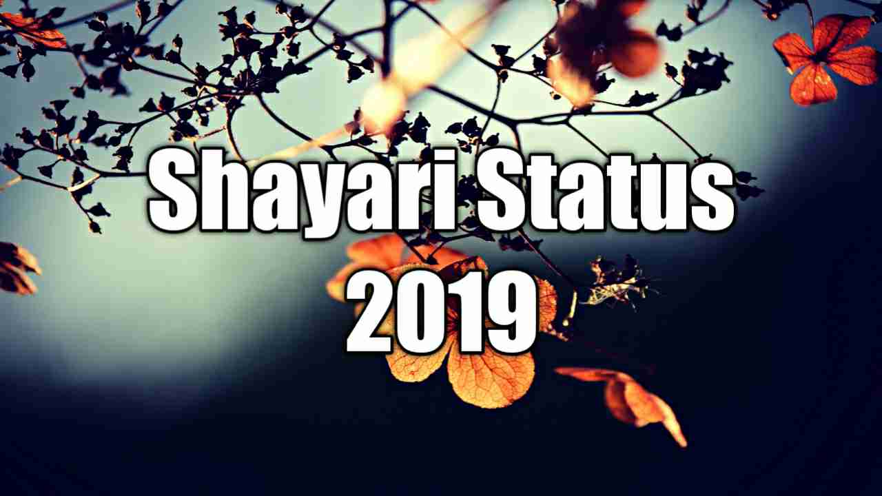 Shayari Status