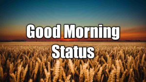 Read more about the article Good Morning Status