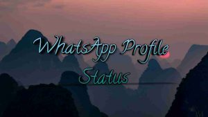 Read more about the article WhatsApp Profile Status