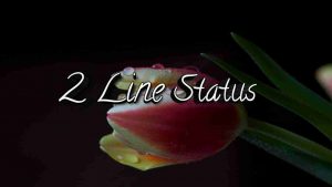 Read more about the article 2 Line Status