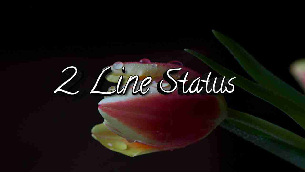 2 Line Status