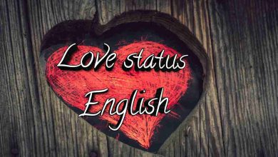 Love Status In English
