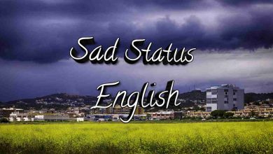 Sad Status In English