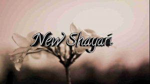 Read more about the article New Shayari