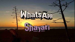 Read more about the article WhatsApp Shayari
