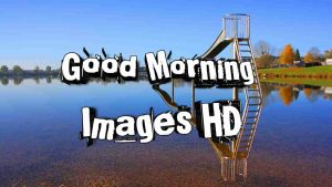 Read more about the article Good Morning Images
