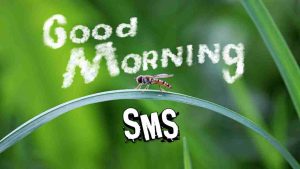 Read more about the article Good Morning SMS