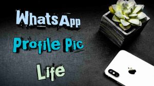 Read more about the article Whatsapp Profile Pic Life