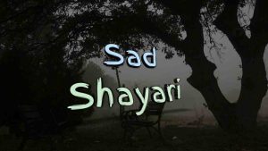 Read more about the article Sad Shayari