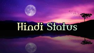 Read more about the article Hindi Status