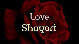 Read more about the article Love Shayari