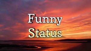 Read more about the article Funny Status