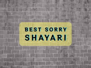 Read more about the article Sorry Shayari